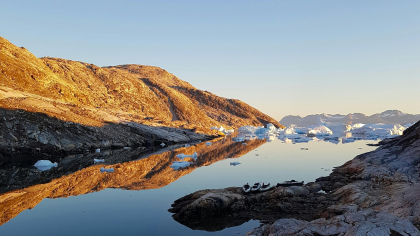 Antarctica „înverzeşte” într-un ritm alert din cauza schimbărilor climatice - studiu