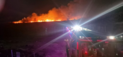 Incendiu de proporții în Delta Dunării. Flăcările s-au extins pe o suprafaţă de 50 de hectare