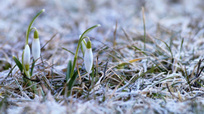 Vremea la începutul primăverii. Prognoza meteo pentru următoarele săptămâni