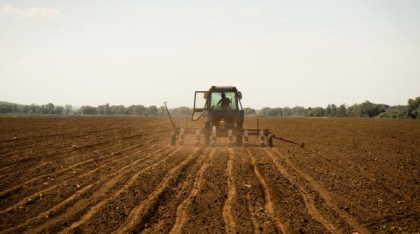 Un singur hectar de teren agricol din Arad se vinde cu 30.000 de euro. De ce cere proprietarul atât de mulți bani