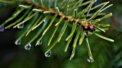 Prognoza meteo 7 octombrie. Cod portocaliu de ploi torenţiale dimineaţă, în două judeţe