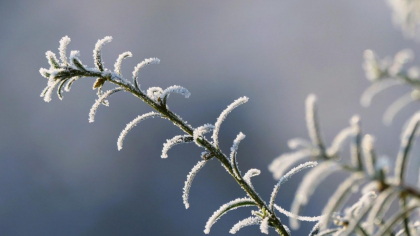 Prognoza meteo 7 ianuarie. Temperaturi de primăvară, vânt puternic la munte