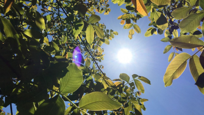 Prognoza meteo, 21 septembrie. Frigul ia o pauză. Soarele va încălzi majoritatea regiunilor țării. Care vor fi temperaturile maxime