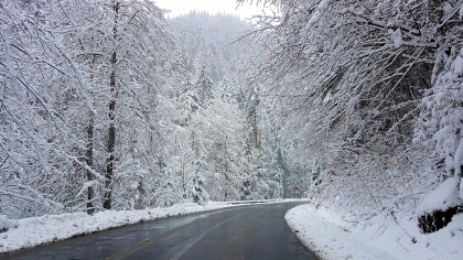 Prognoza meteo pentru două săptămâni. Când încep să scadă drastic temperaturile, anunț de ultimă oră de la meteorologi