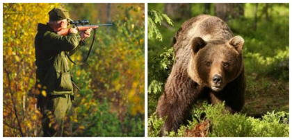 Camera Deputaților a aprobat legea pentru vânătoarea de urși bruni