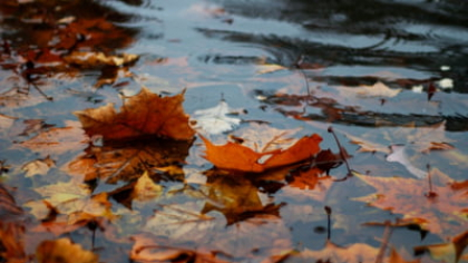 Cum va fi vremea în prima jumătate a lunii octombrie. Prognoza meteo actualizată de ANM