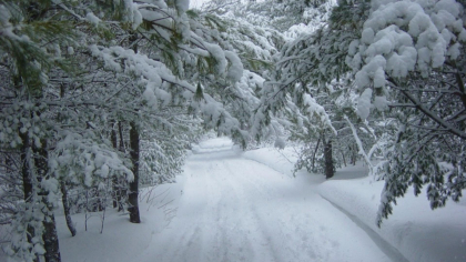 Prognoza meteo, 25 decembrie. Începe urgia albă. ANM a emis mai multe coduri galbene de ninsoare abundentă și intensificări ale vântului