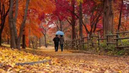 Val de aer polar peste România. Vremea se schimbă brusc, iar temperaturile scad chiar și cu 13 grade Celsius