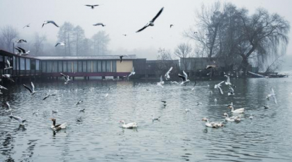 Temperaturile scad semnificativ în următoarele ore și va ploua în Capitală. Prognoza meteo specială pentru București