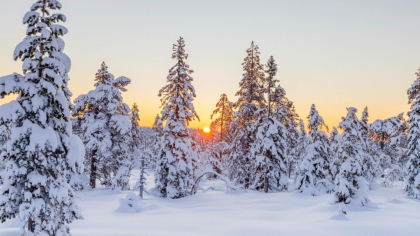 Prognoza meteo 15 ianuarie. Val de aer polar peste România: minimele coboară la - 17 grade!