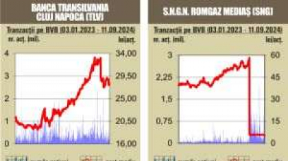 BVB Scaderi pentru indici