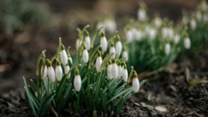 Temperaturi mai ridicate decât normal în următoarea perioadă. Prognoza meteorologilor pe următoarele patru săptămâni