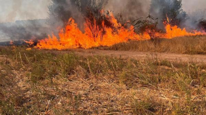 Incendiu într-o zonă izolată din Delta Dunării. Flăcările s-au extins pe o suprafață de 50 de hectare