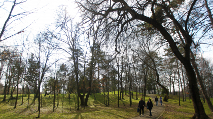 Primăvară mai caldă decât în mod obişnuit. Prognoza meteo pentru întreaga lună martie