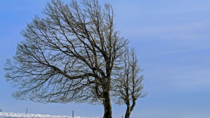 Prognoza meteo 10 ianuarie. Schimbări radicale sub regim termic: zonele lovite de fenomene extreme 